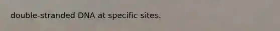 double-stranded DNA at specific sites.