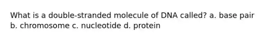 What is a double-stranded molecule of DNA called? a. base pair b. chromosome c. nucleotide d. protein