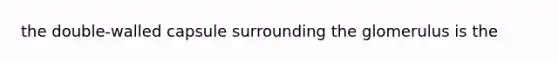 the double-walled capsule surrounding the glomerulus is the