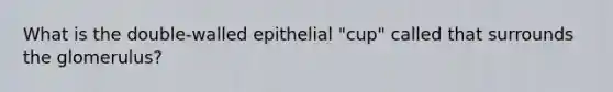 What is the double-walled epithelial "cup" called that surrounds the glomerulus?