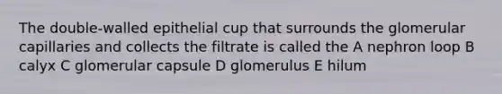 The double-walled epithelial cup that surrounds the glomerular capillaries and collects the filtrate is called the A nephron loop B calyx C glomerular capsule D glomerulus E hilum