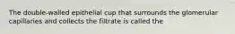 The double-walled epithelial cup that surrounds the glomerular capillaries and collects the filtrate is called the