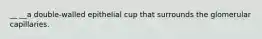 __ __a double-walled epithelial cup that surrounds the glomerular capillaries.