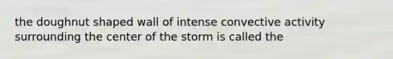 the doughnut shaped wall of intense convective activity surrounding the center of the storm is called the