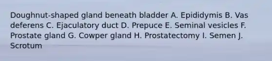 Doughnut-shaped gland beneath bladder A. Epididymis B. Vas deferens C. Ejaculatory duct D. Prepuce E. Seminal vesicles F. Prostate gland G. Cowper gland H. Prostatectomy I. Semen J. Scrotum