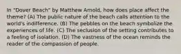 In "Dover Beach" by Matthew Arnold, how does place affect the theme? (A) The public nature of the beach calls attention to the world's indifference. (B) The pebbles on the beach symbolize the experiences of life. (C) The seclusion of the setting contributes to a feeling of isolation. (D) The vastness of the ocean reminds the reader of the compassion of people.