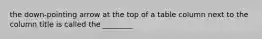 the down-pointing arrow at the top of a table column next to the column title is called the ________
