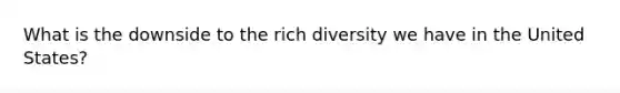 What is the downside to the rich diversity we have in the United States?