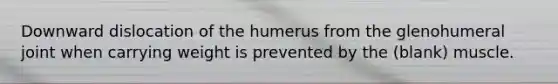 Downward dislocation of the humerus from the glenohumeral joint when carrying weight is prevented by the (blank) muscle.