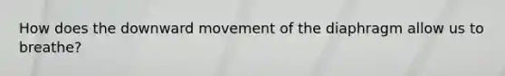 How does the downward movement of the diaphragm allow us to breathe?