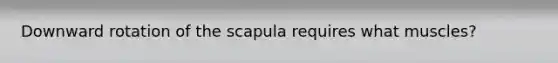 Downward rotation of the scapula requires what muscles?