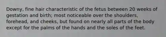 Downy, fine hair characteristic of the fetus between 20 weeks of gestation and birth; most noticeable over the shoulders, forehead, and cheeks, but found on nearly all parts of the body except for the palms of the hands and the soles of the feet.