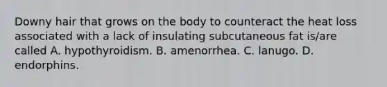 Downy hair that grows on the body to counteract the heat loss associated with a lack of insulating subcutaneous fat is/are called A. hypothyroidism. B. amenorrhea. C. lanugo. D. endorphins.