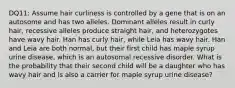 DQ11: Assume hair curliness is controlled by a gene that is on an autosome and has two alleles. Dominant alleles result in curly hair, recessive alleles produce straight hair, and heterozygotes have wavy hair. Han has curly hair, while Leia has wavy hair. Han and Leia are both normal, but their first child has maple syrup urine disease, which is an autosomal recessive disorder. What is the probability that their second child will be a daughter who has wavy hair and is also a carrier for maple syrup urine disease?