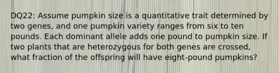 DQ22: Assume pumpkin size is a quantitative trait determined by two genes, and one pumpkin variety ranges from six to ten pounds. Each dominant allele adds one pound to pumpkin size. If two plants that are heterozygous for both genes are crossed, what fraction of the offspring will have eight-pound pumpkins?