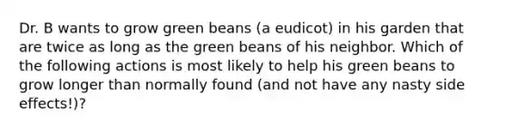 Dr. B wants to grow green beans (a eudicot) in his garden that are twice as long as the green beans of his neighbor. Which of the following actions is most likely to help his green beans to grow longer than normally found (and not have any nasty side effects!)?