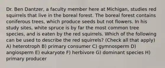 Dr. Ben Dantzer, a faculty member here at Michigan, studies red squirrels that live in the boreal forest. The boreal forest contains coniferous trees, which produce seeds but not flowers. In his study sites, white spruce is by far the most common tree species, and is eaten by the red squirrels. Which of the following can be used to describe the red squirrels? (Check all that apply) A) heterotroph B) primary consumer C) gymnosperm D) angiosperm E) eukaryote F) herbivore G) dominant species H) primary producer