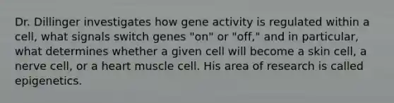 Dr. Dillinger investigates how gene activity is regulated within a cell, what signals switch genes "on" or "off," and in particular, what determines whether a given cell will become a skin cell, a nerve cell, or a heart muscle cell. His area of research is called epigenetics.