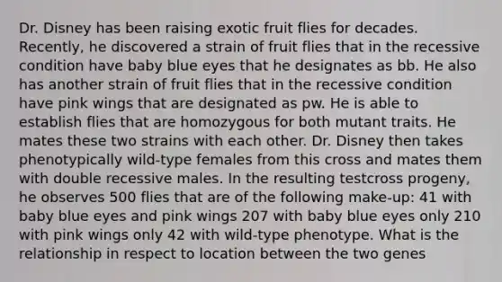 Dr. Disney has been raising exotic fruit flies for decades. Recently, he discovered a strain of fruit flies that in the recessive condition have baby blue eyes that he designates as bb. He also has another strain of fruit flies that in the recessive condition have pink wings that are designated as pw. He is able to establish flies that are homozygous for both mutant traits. He mates these two strains with each other. Dr. Disney then takes phenotypically wild-type females from this cross and mates them with double recessive males. In the resulting testcross progeny, he observes 500 flies that are of the following make-up: 41 with baby blue eyes and pink wings 207 with baby blue eyes only 210 with pink wings only 42 with wild-type phenotype. What is the relationship in respect to location between the two genes