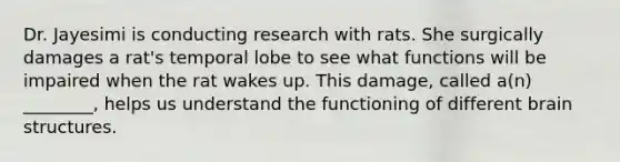 Dr. Jayesimi is conducting research with rats. She surgically damages a rat's temporal lobe to see what functions will be impaired when the rat wakes up. This damage, called a(n) ________, helps us understand the functioning of different brain structures.