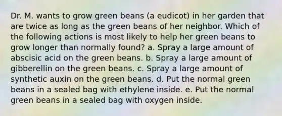 Dr. M. wants to grow green beans (a eudicot) in her garden that are twice as long as the green beans of her neighbor. Which of the following actions is most likely to help her green beans to grow longer than normally found? a. Spray a large amount of abscisic acid on the green beans. b. Spray a large amount of gibberellin on the green beans. c. Spray a large amount of synthetic auxin on the green beans. d. Put the normal green beans in a sealed bag with ethylene inside. e. Put the normal green beans in a sealed bag with oxygen inside.