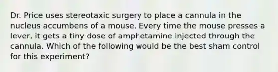 Dr. Price uses stereotaxic surgery to place a cannula in the nucleus accumbens of a mouse. Every time the mouse presses a lever, it gets a tiny dose of amphetamine injected through the cannula. Which of the following would be the best sham control for this experiment?