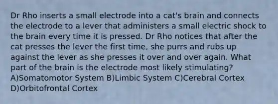 Dr Rho inserts a small electrode into a cat's brain and connects the electrode to a lever that administers a small electric shock to the brain every time it is pressed. Dr Rho notices that after the cat presses the lever the first time, she purrs and rubs up against the lever as she presses it over and over again. What part of the brain is the electrode most likely stimulating? A)Somatomotor System B)Limbic System C)Cerebral Cortex D)Orbitofrontal Cortex