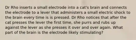 Dr Rho inserts a small electrode into a cat's brain and connects the electrode to a lever that administers a small electric shock to the brain every time is is pressed. Dr Rho notices that after the cat presses the lever the first time, she purrs and rubs up against the lever as she presses it over and over again. What part of the brain is the electrode likely stimulating?