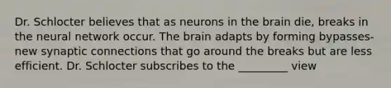 Dr. Schlocter believes that as neurons in the brain die, breaks in the neural network occur. The brain adapts by forming bypasses-new synaptic connections that go around the breaks but are less efficient. Dr. Schlocter subscribes to the _________ view