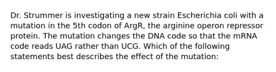 Dr. Strummer is investigating a new strain Escherichia coli with a mutation in the 5th codon of ArgR, the arginine operon repressor protein. The mutation changes the DNA code so that the mRNA code reads UAG rather than UCG. Which of the following statements best describes the effect of the mutation: