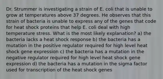 Dr. Strummer is investigating a strain of E. coli that is unable to grow at temperatures above 37 degrees. He observes that this strain of bacteria is unable to express any of the genes that code for heat shock proteins that help E. coli deal with high temperature stress. What is the most likely explanation? a) the bacteria lacks a heat shock response b) the bacteria has a mutation in the positive regulator required for high level heat shock gene expression c) the bacteria has a mutation in the negative regulator required for high level heat shock gene expression d) the bacteria has a mutation in the sigma factor used for transcription of the heat shock genes