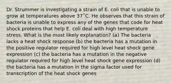 Dr. Strummer is investigating a strain of E. coli that is unable to grow at temperatures above 37˚C. He observes that this strain of bacteria is unable to express any of the genes that code for heat shock proteins that help E. coli deal with high temperature stress. What is the most likely explanation? (a) The bacteria lacks a heat shock response (b) the bacteria has a mutation in the positive regulator required for high level heat shock <a href='https://www.questionai.com/knowledge/kFtiqWOIJT-gene-expression' class='anchor-knowledge'>gene expression</a> (c) the bacteria has a mutation in the negative regulator required for high level heat shock gene expression (d) the bacteria has a mutation in the sigma factor used for transcription of the heat shock genes