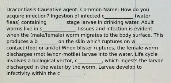 Dracontiasis Causative agent: Common Name: How do you acquire infection? Ingestion of infected c____________ (water fleas) containing _______ stage larvae in drinking water. Adult worms live in s______________ tissues and infection is evident when the (male/female) worm migrates to the body surface. This produces a b________ on the skin which ruptures on w_______ contact (foot or ankle) When blister ruptures, the female worm discharges (motile/non-motile) larvae into the water. Life cycle involves a biological vector, c__________, which ingests the larvae discharged in the water by the worm. Larvae develop to infectivity within the c__________.