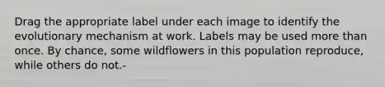 Drag the appropriate label under each image to identify the evolutionary mechanism at work. Labels may be used more than once. By chance, some wildflowers in this population reproduce, while others do not.-