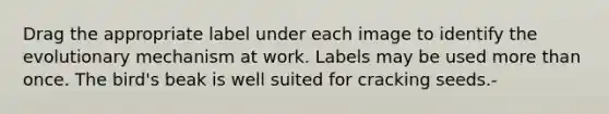 Drag the appropriate label under each image to identify the evolutionary mechanism at work. Labels may be used more than once. The bird's beak is well suited for cracking seeds.-