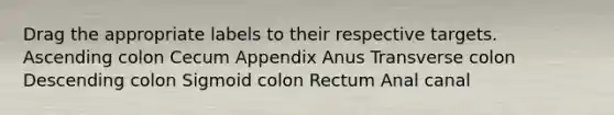 Drag the appropriate labels to their respective targets. Ascending colon Cecum Appendix Anus Transverse colon Descending colon Sigmoid colon Rectum Anal canal