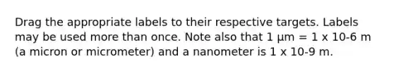 Drag the appropriate labels to their respective targets. Labels may be used more than once. Note also that 1 μm = 1 x 10-6 m (a micron or micrometer) and a nanometer is 1 x 10-9 m.
