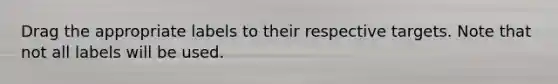 Drag the appropriate labels to their respective targets. Note that not all labels will be used.