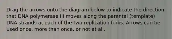 Drag the arrows onto the diagram below to indicate the direction that DNA polymerase III moves along the parental (template) DNA strands at each of the two replication forks. Arrows can be used once, <a href='https://www.questionai.com/knowledge/keWHlEPx42-more-than' class='anchor-knowledge'>more than</a> once, or not at all.