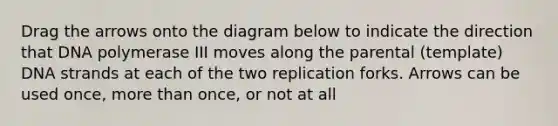 Drag the arrows onto the diagram below to indicate the direction that DNA polymerase III moves along the parental (template) DNA strands at each of the two replication forks. Arrows can be used once, <a href='https://www.questionai.com/knowledge/keWHlEPx42-more-than' class='anchor-knowledge'>more than</a> once, or not at all