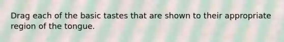 Drag each of the basic tastes that are shown to their appropriate region of the tongue.