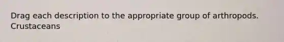 Drag each description to the appropriate group of arthropods. Crustaceans