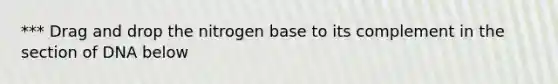 *** Drag and drop the nitrogen base to its complement in the section of DNA below