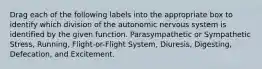 Drag each of the following labels into the appropriate box to identify which division of the autonomic nervous system is identified by the given function. Parasympathetic or Sympathetic Stress, Running, Flight-or-Flight System, Diuresis, Digesting, Defecation, and Excitement.