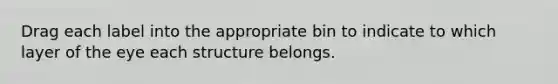 Drag each label into the appropriate bin to indicate to which layer of the eye each structure belongs.
