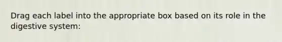 Drag each label into the appropriate box based on its role in the digestive system: