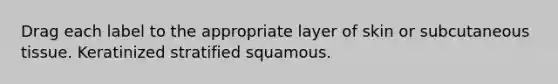 Drag each label to the appropriate layer of skin or subcutaneous tissue. Keratinized stratified squamous.