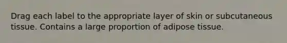 Drag each label to the appropriate layer of skin or subcutaneous tissue. Contains a large proportion of adipose tissue.