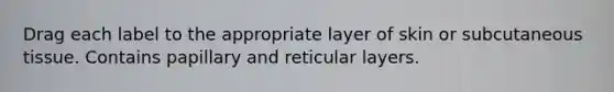 Drag each label to the appropriate layer of skin or subcutaneous tissue. Contains papillary and reticular layers.