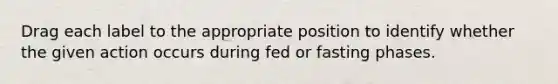 Drag each label to the appropriate position to identify whether the given action occurs during fed or fasting phases.